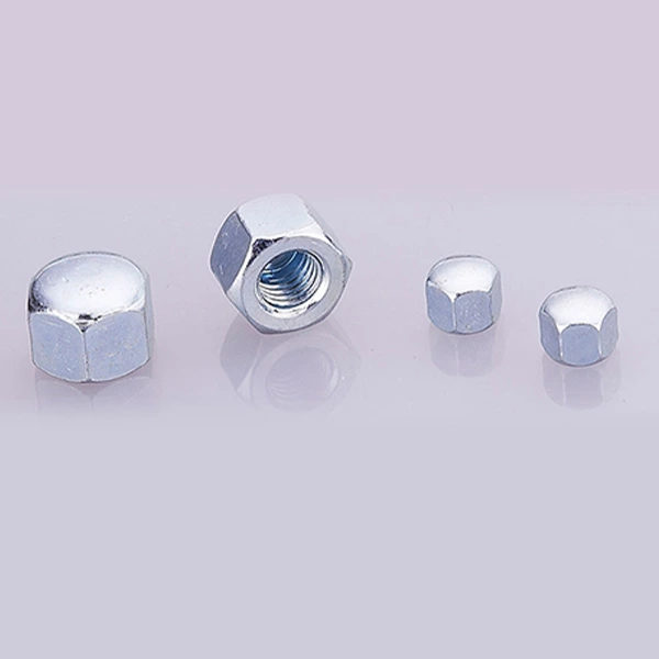 Flat cap nut DIN917